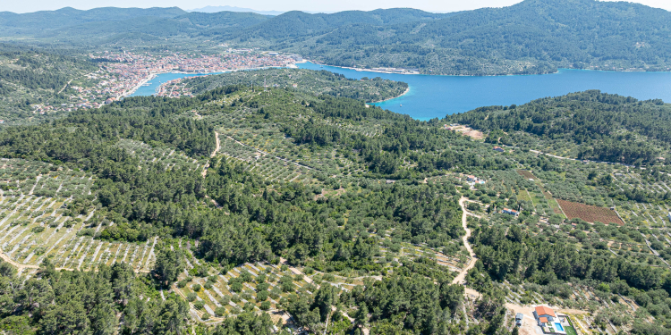 Villa Antea