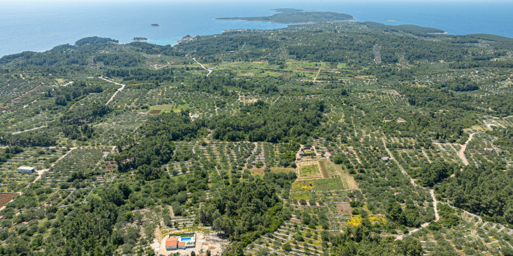 Villa Antea