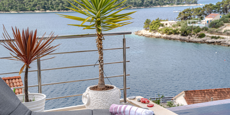 Villa Franka with pool and sea view